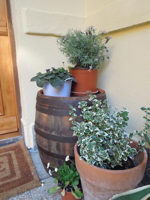 Rustic Elegance Διαμέρισμα Βουδαπέστη Εξωτερικό φωτογραφία